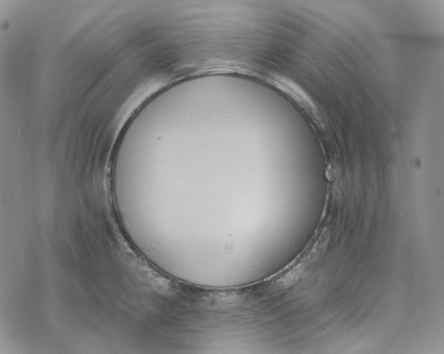 X0000072981190200608041235