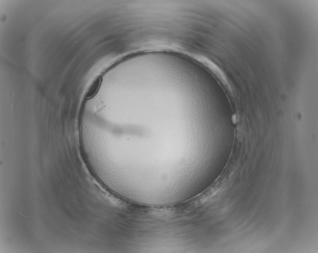 X0000072981191200608041235