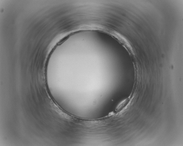 X0000072981192200608041235