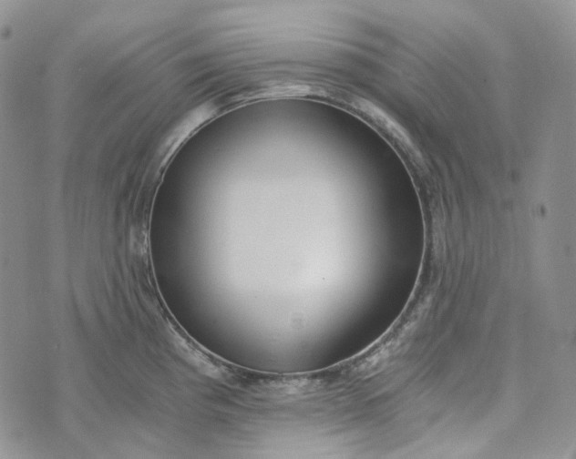 X0000072981193200608041235