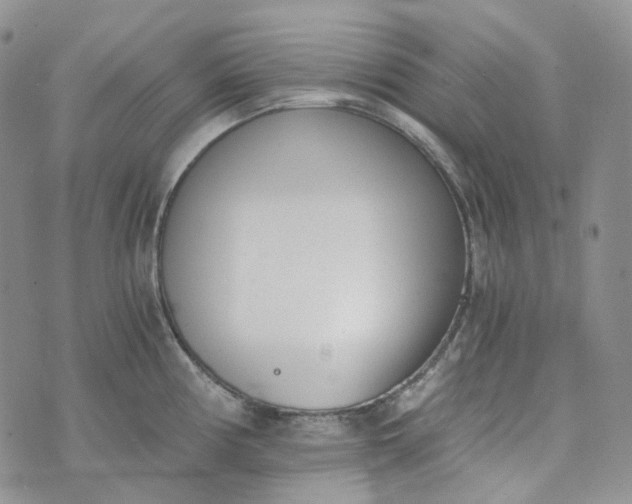 X0000072981194200608041235