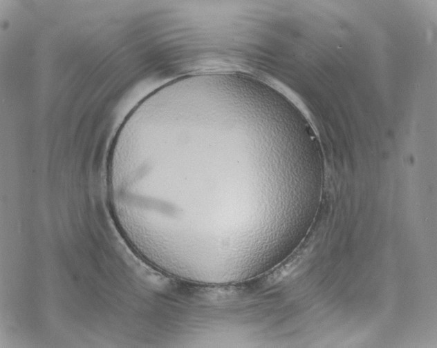 X0000072981195200608041235