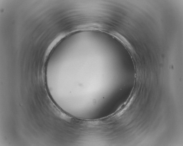 X0000072981196200608041235