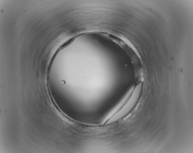 X0000072981197200608041235