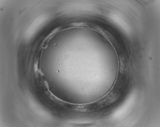 X0000072981198200608041235