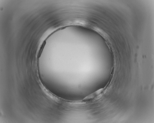 X0000072981200200608041235