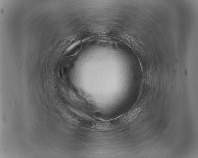 X0000072981201200608041234