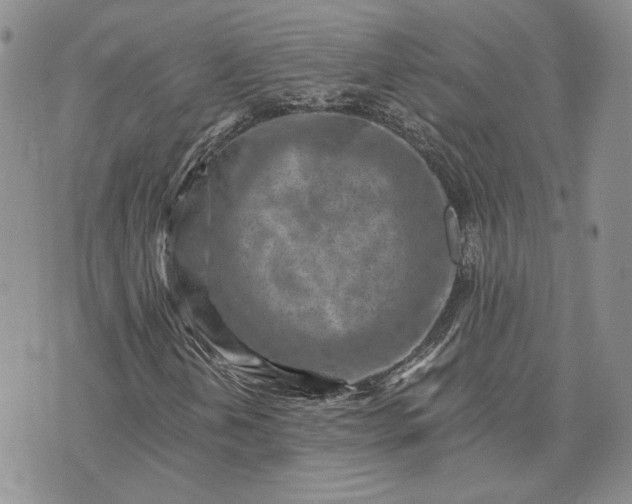 X0000072981202200608041234