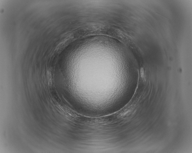 X0000072981203200608041234