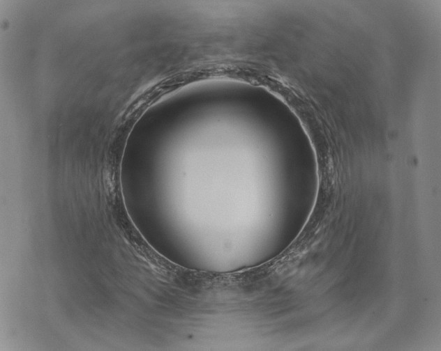 X0000072981206200608041234