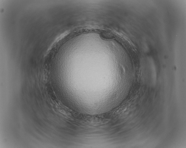 X0000072981207200608041234