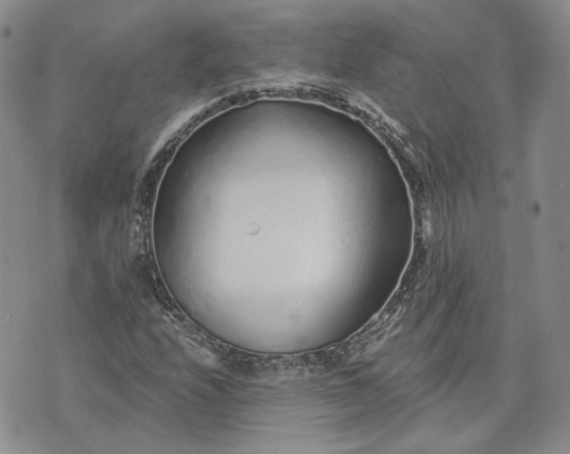 X0000072981208200608041234