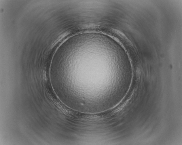 X0000072981209200608041234