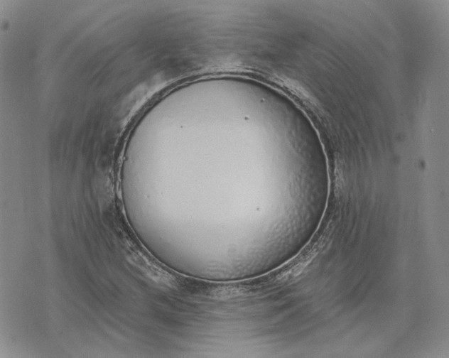 X0000072981212200608041235