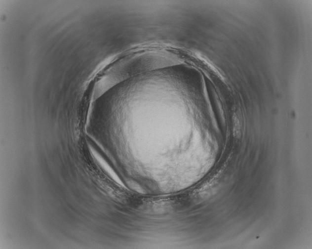 X0000072981213200608041235