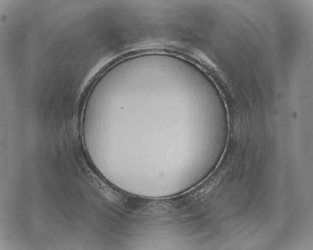 X0000072981216200608041235