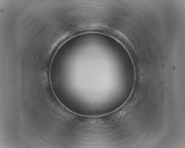 X0000072981218200608041235