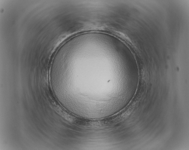 X0000072981220200608041235