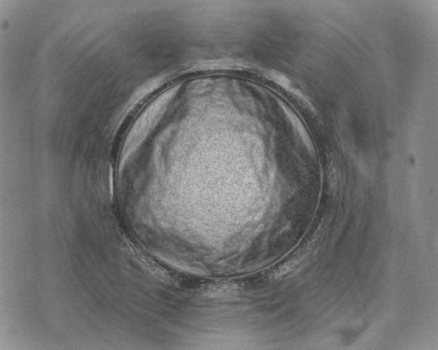 X0000072981221200608041235