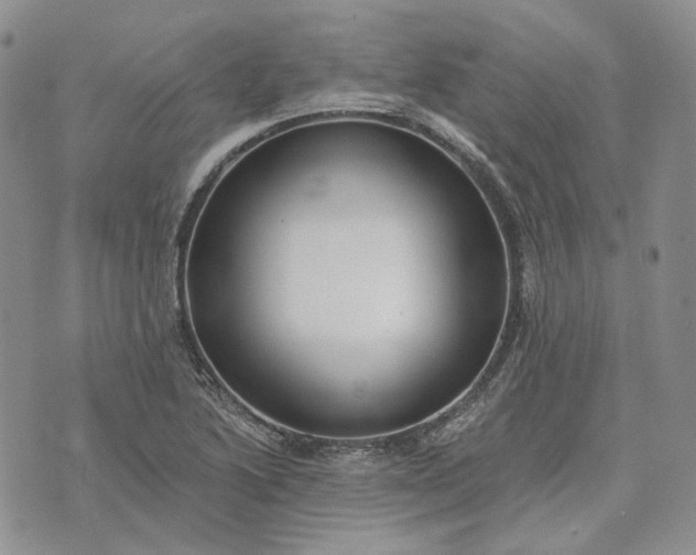 X0000072981222200608041235