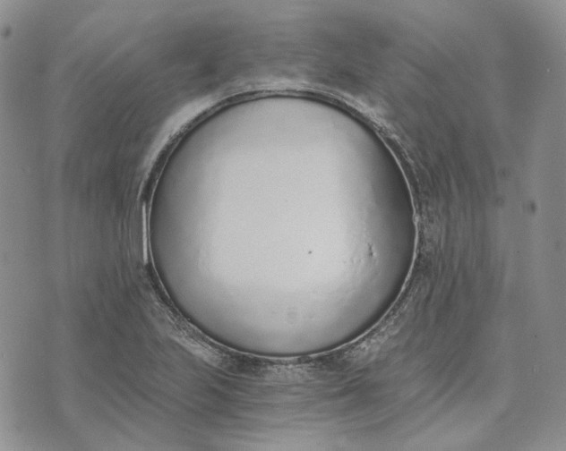 X0000072981223200608041235