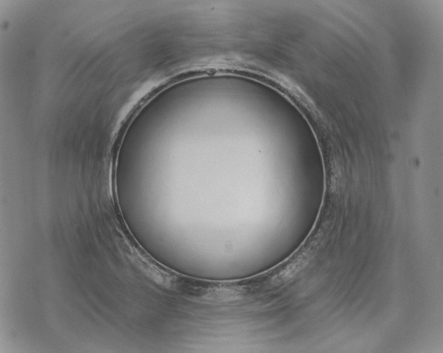 X0000072981224200608041235