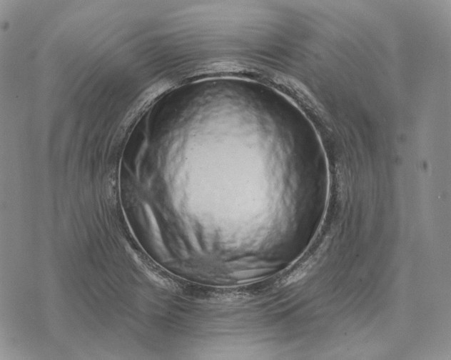 X0000072981225200608041235