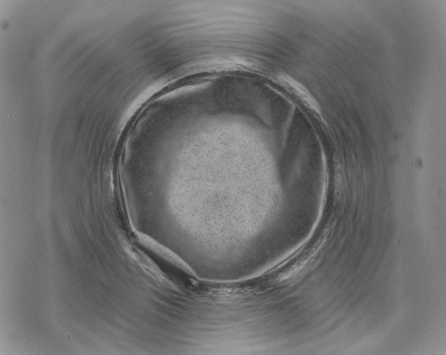 X0000072981226200608041235