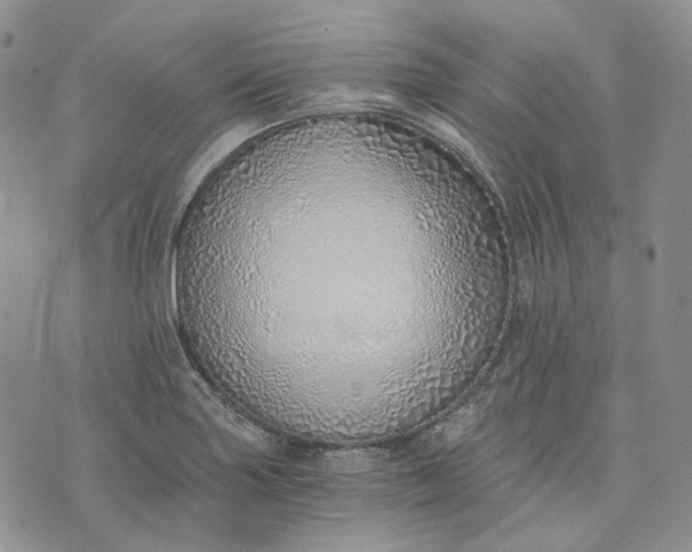 X0000072981227200608041235