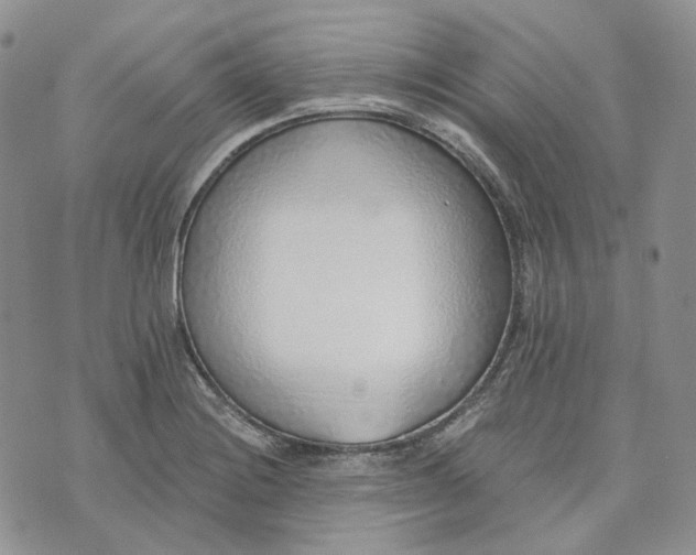 X0000072981228200608041235