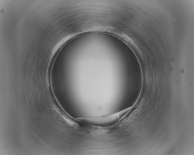 X0000072981230200608041235