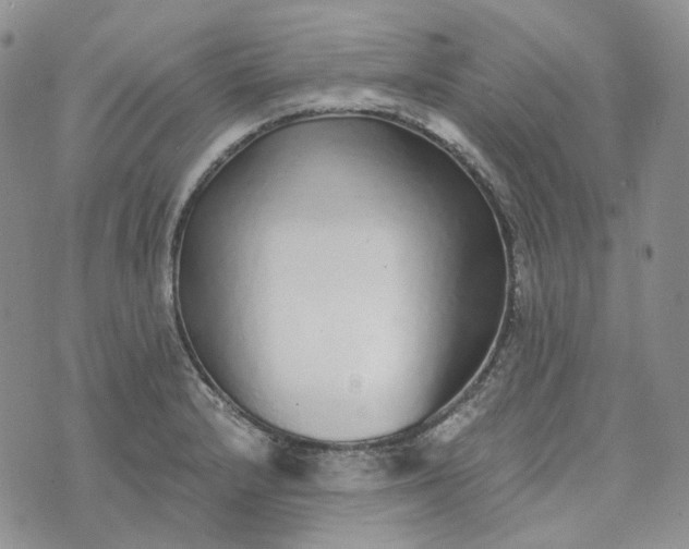 X0000072981232200608041235