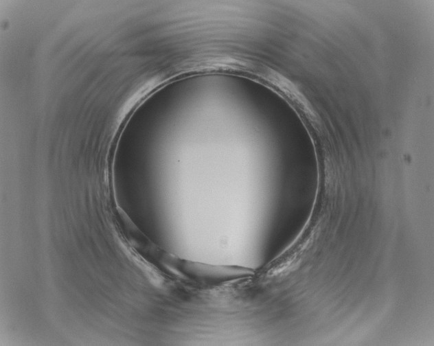 X0000072981234200608041235