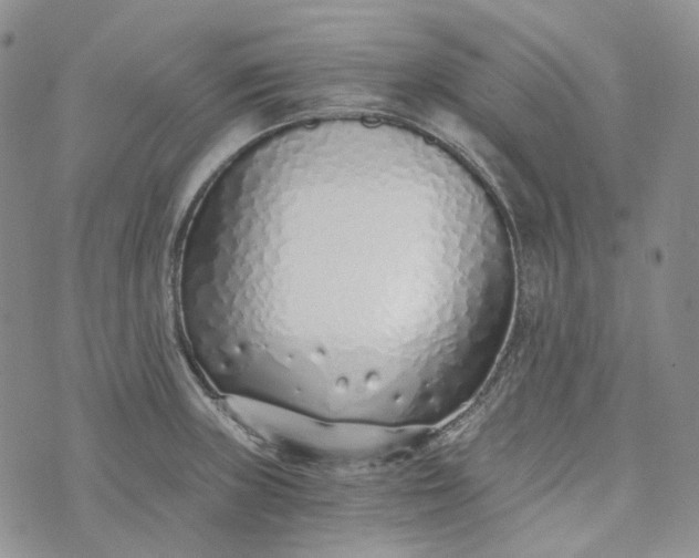 X0000072981235200608041235