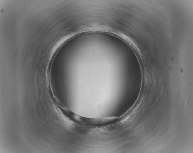 X0000072981238200608041235