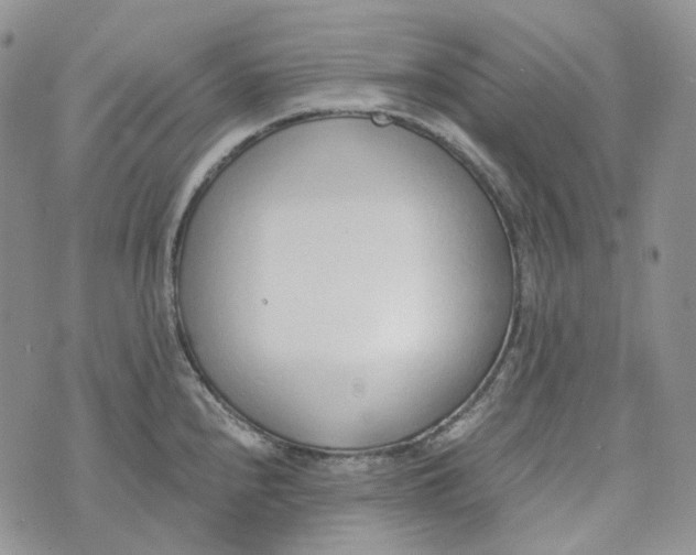 X0000072981240200608041235