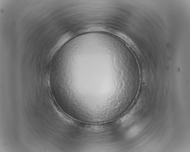 X0000072981241200608041235