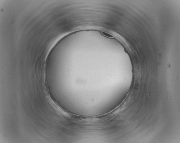 X0000072981244200608041235