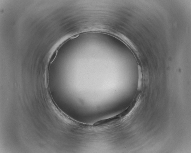 X0000072981246200608041235