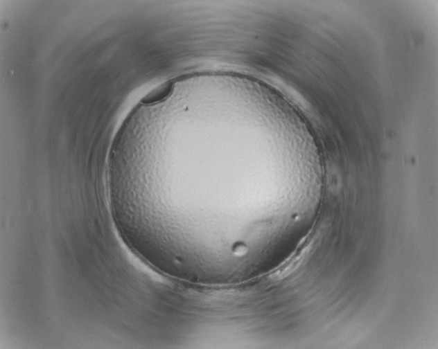 X0000072981247200608041235