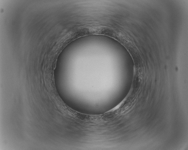 X0000072981249200608041234