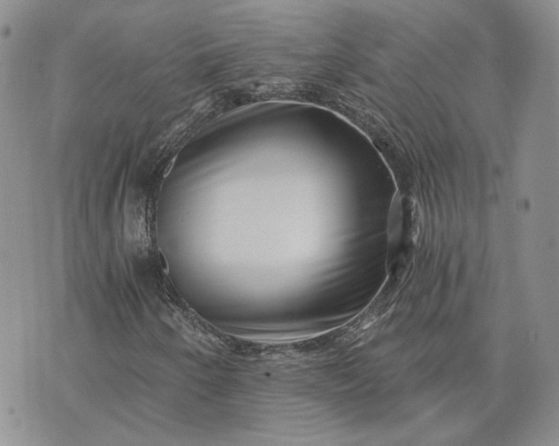 X0000072981250200608041234