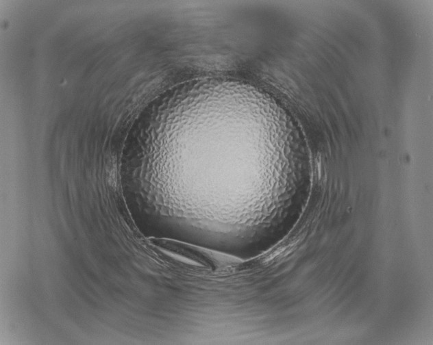 X0000072981251200608041234