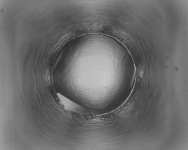 X0000072981252200608041234