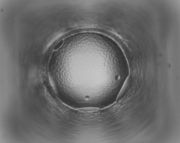 X0000072981255200608041234