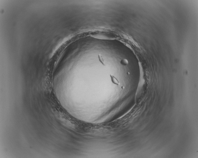 X0000072981256200608041234