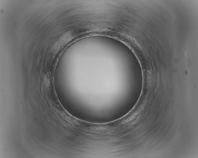 X0000072981257200608041234