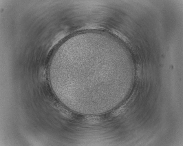 X0000072981258200608041234