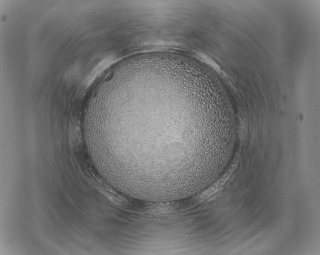 X0000072981259200608041234