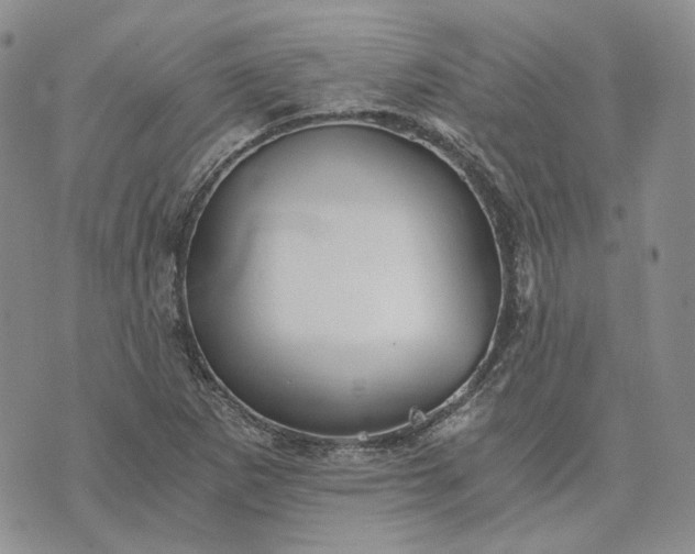 X0000072981265200608041234